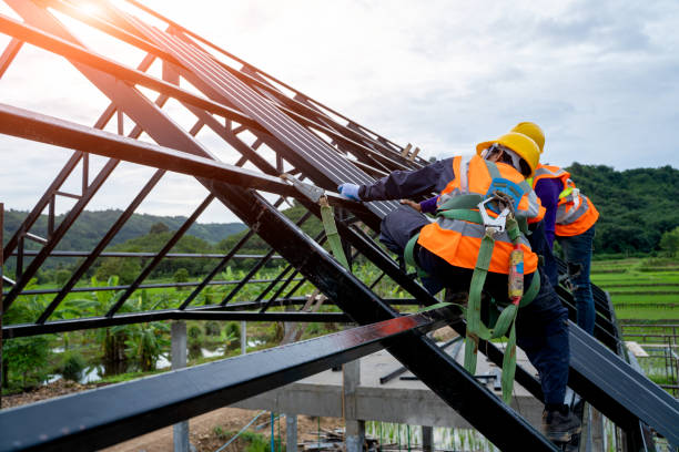 Best Roof Repair Services  in Bellevue, MI