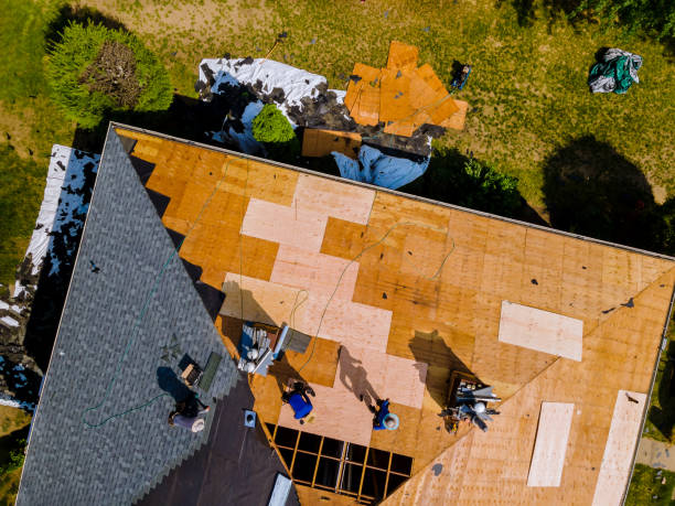 Best Local Roofing Companies  in Bellevue, MI