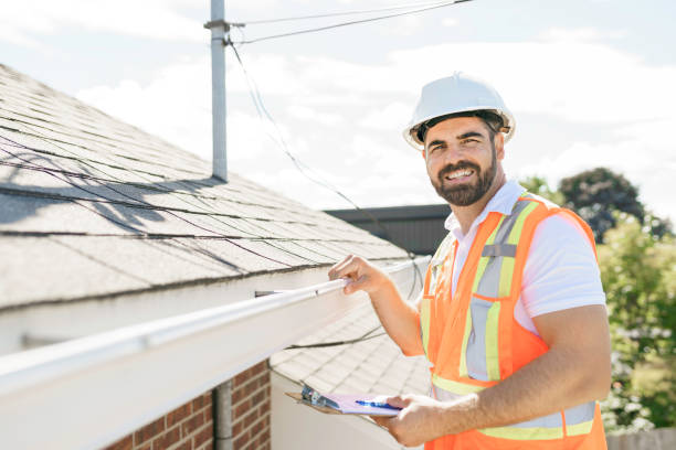 Roof Gutter Cleaning in Bellevue, MI