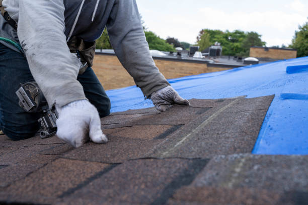 Best Sealant for Roof  in Bellevue, MI
