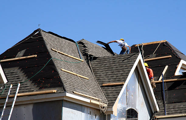 Best Roof Repair Specialists  in Bellevue, MI