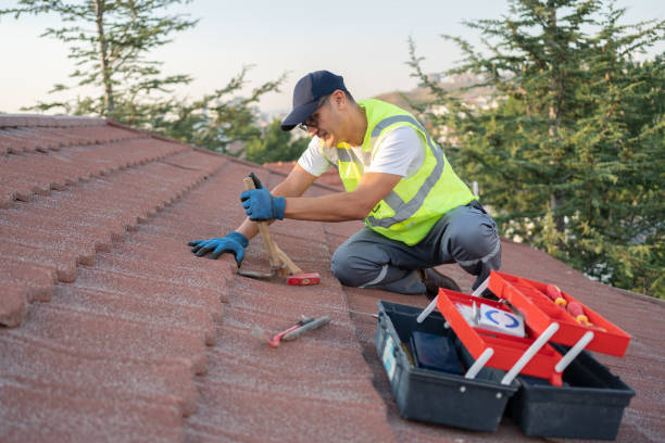 Best Metal Roofing Contractor  in Bellevue, MI