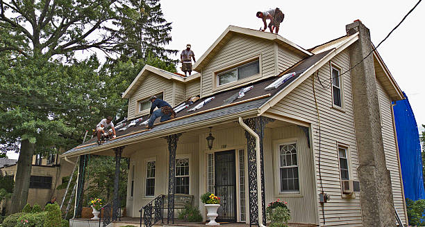 Best New Roof Installation  in Bellevue, MI