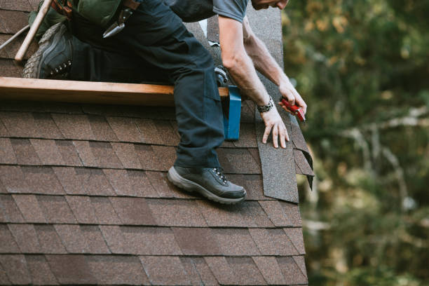 Best Residential Roofing Contractor  in Bellevue, MI